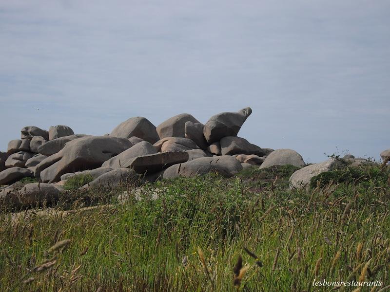 PLOUMANAC'H(22)-Des landes...Des rochers...et Des douaniers