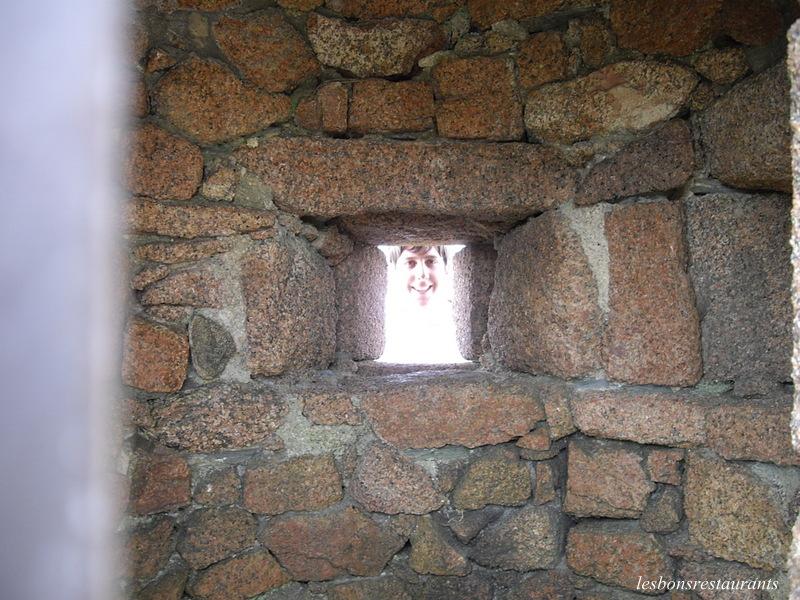 PLOUMANAC'H(22)-Des landes...Des rochers...et Des douaniers