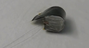 Un film polymère change de forme avec une force surprenante !