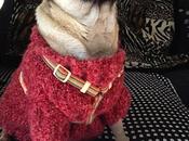 chien style (diy inside)