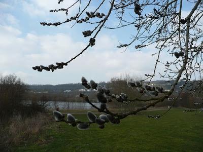 Le printemps et l'hiver