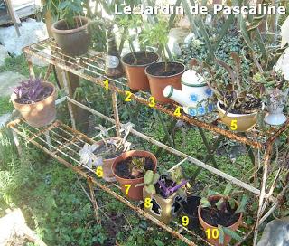 Souvenez -vous mon article pour se préparer aux trocs aux...