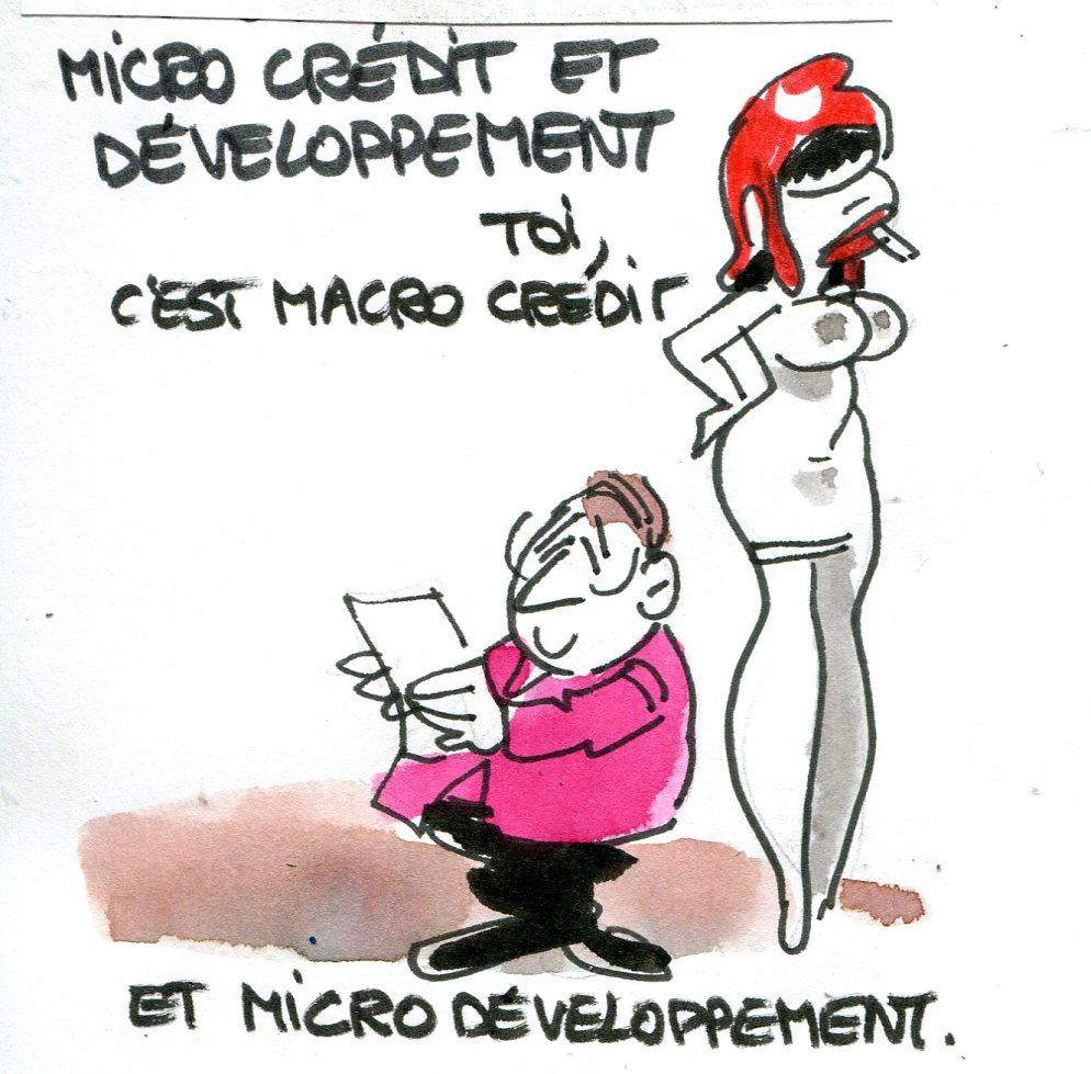 Le microcrédit et le développement