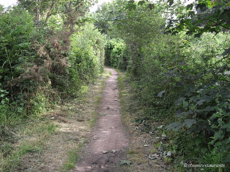 PLOUMANAC'H(22)-Sentiers des douaniers-Sentiers des Oiseaux