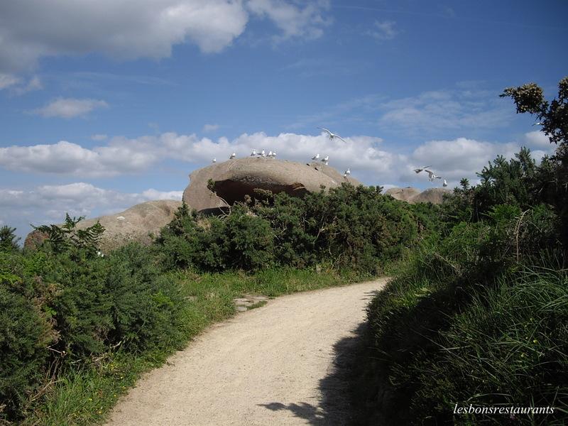 PLOUMANAC'H(22)-Sentiers des douaniers-Sentiers des Oiseaux