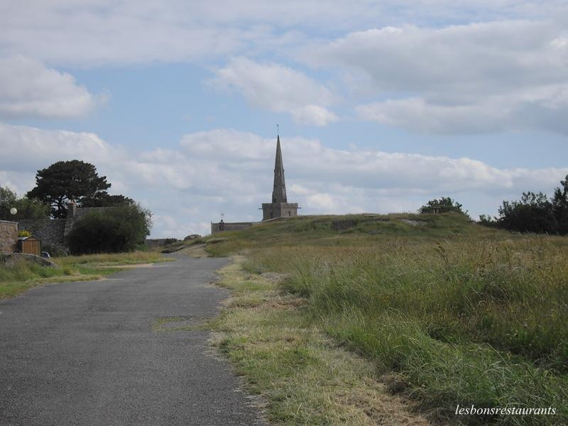 PLOUMANAC'H(22)-Sentiers des douaniers-Sentiers des Oiseaux