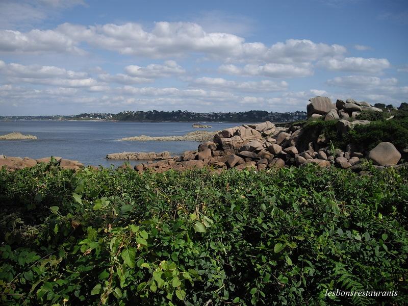 PLOUMANAC'H(22)-Sentiers des douaniers-Sentiers des Oiseaux