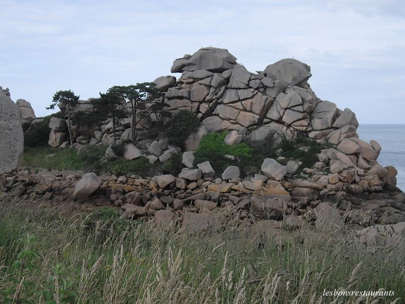 PLOUMANAC'H(22)-Sentiers des douaniers-Sentiers des Oiseaux