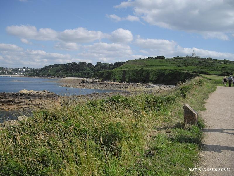 PLOUMANAC'H(22)-Sentiers des douaniers-Sentiers des Oiseaux