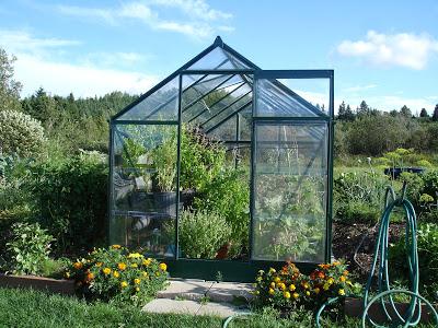 Un petit aperçu de ma passion, mon jardin