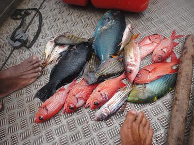 Un drole de Tiki au Vanuatu