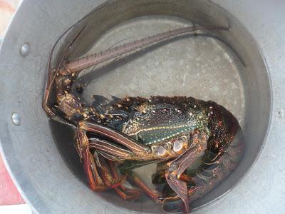 Un drole de Tiki au Vanuatu