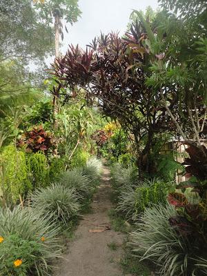 Un drole de Tiki au Vanuatu