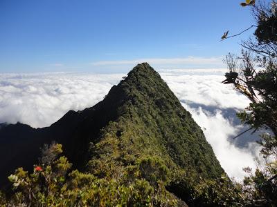 Tahiti, le grand écart