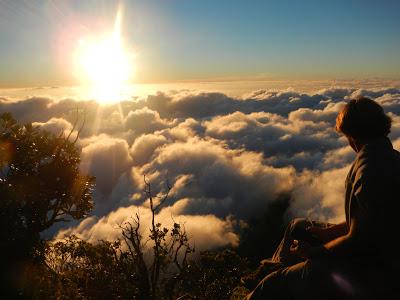 Tahiti, le grand écart