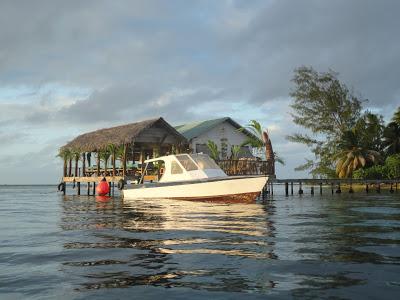 Tuamotu, paradis turquoise et requins...
