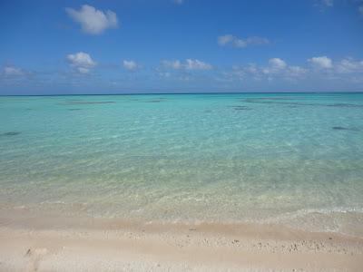 Tuamotu, paradis turquoise et requins...