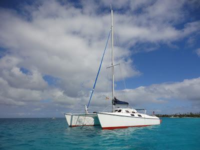 Tuamotu, paradis turquoise et requins...