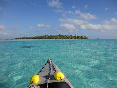 Tuamotu, paradis turquoise et requins...