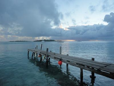 Tuamotu, paradis turquoise et requins...