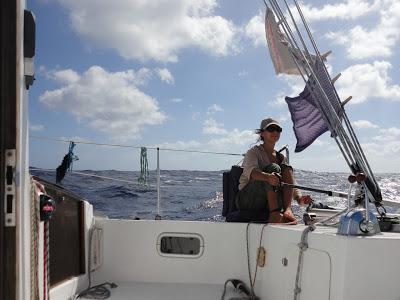 Tuamotu, paradis turquoise et requins...