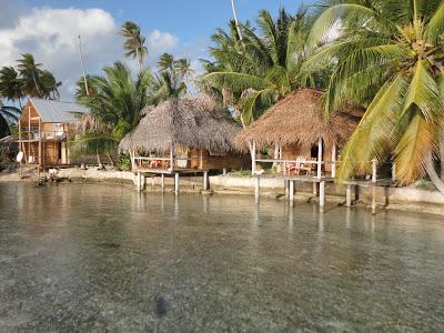 Tuamotu, paradis turquoise et requins...