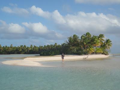 Tuamotu, paradis turquoise et requins...