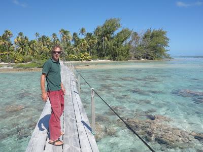 Tuamotu, paradis turquoise et requins...