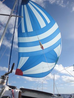 Tuamotu, paradis turquoise et requins...