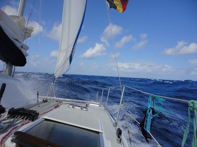 Tuamotu, paradis turquoise et requins...