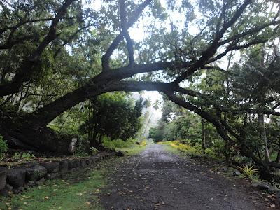 Camping sauvage à Nuku Hiva