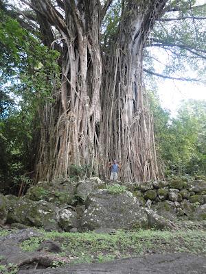 Camping sauvage à Nuku Hiva