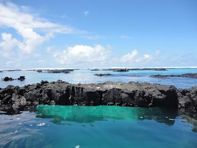 Galapagos : un bestiaire onéreux