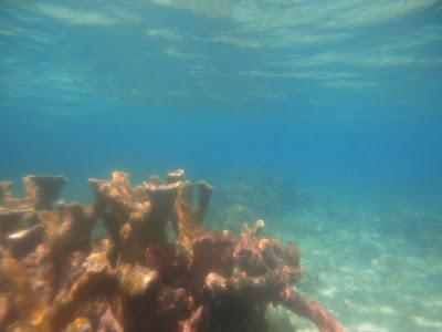 Cartagena de Indias & islas Caribe