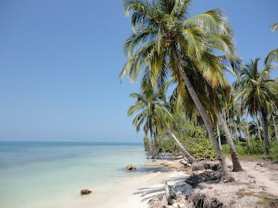 Cartagena de Indias & islas Caribe