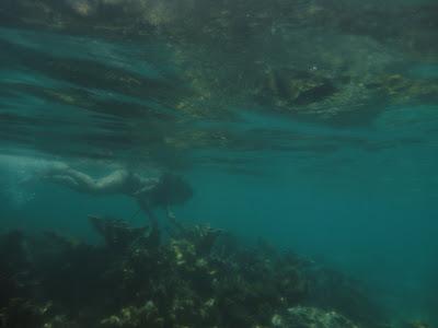 Cartagena de Indias & islas Caribe