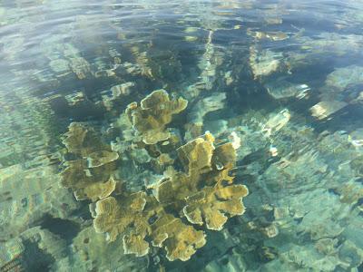 Cartagena de Indias & islas Caribe