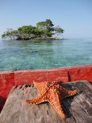 Cartagena de Indias & islas Caribe