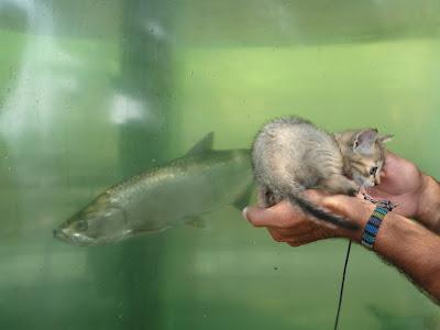 Cartagena de Indias & islas Caribe