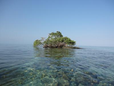 Cartagena de Indias & islas Caribe