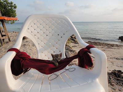 Cartagena de Indias & islas Caribe