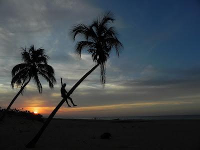 La Guajira et le Parque Tayrona