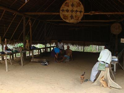 Puerto-Nariño, le plus beau pueblo d'Amazonie