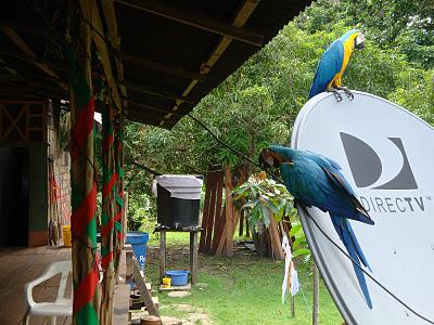 Puerto-Nariño, le plus beau pueblo d'Amazonie