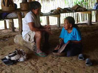 Puerto-Nariño, le plus beau pueblo d'Amazonie