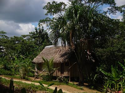 Puerto-Nariño, le plus beau pueblo d'Amazonie