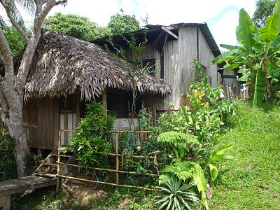 Puerto-Nariño, le plus beau pueblo d'Amazonie