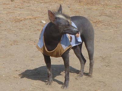 En route vers la selva