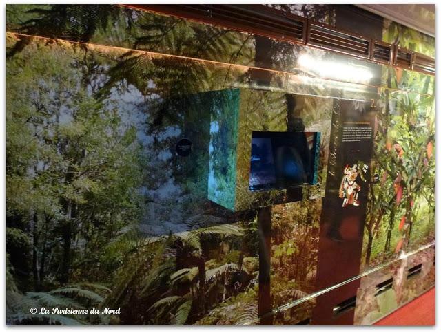 Le train chocolat, une expérience gourmande!