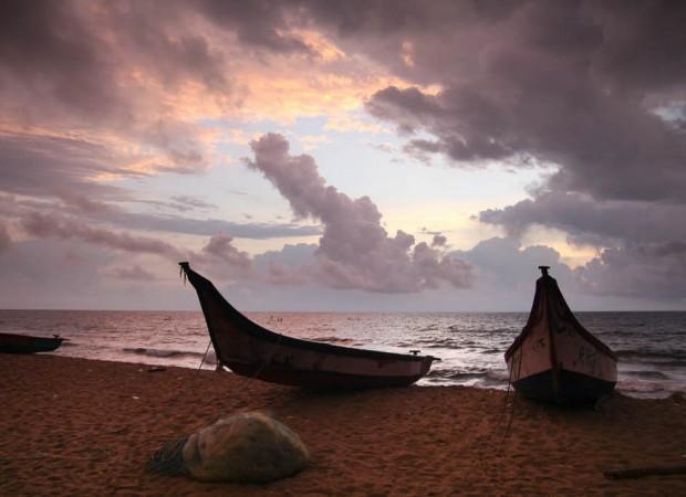 bay_Bengal_photo_mrbichel